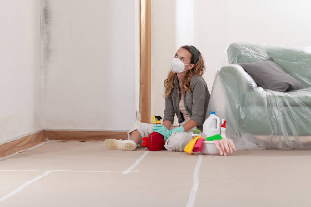 Reliable Mold Removal contractor in Severance, CO by Mold Remediation HQ